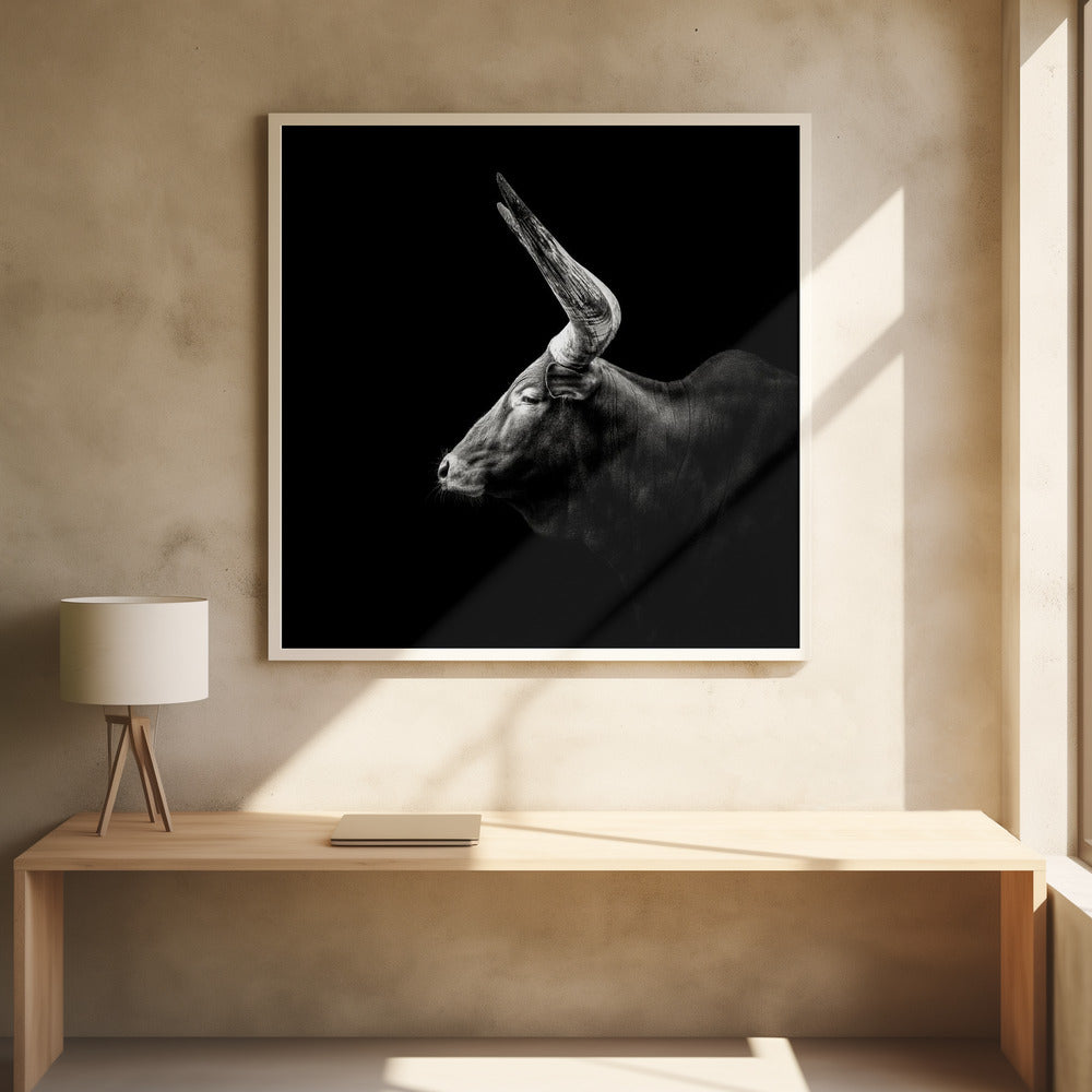 WATUSI , PHOTOGRAPHY PRINTS