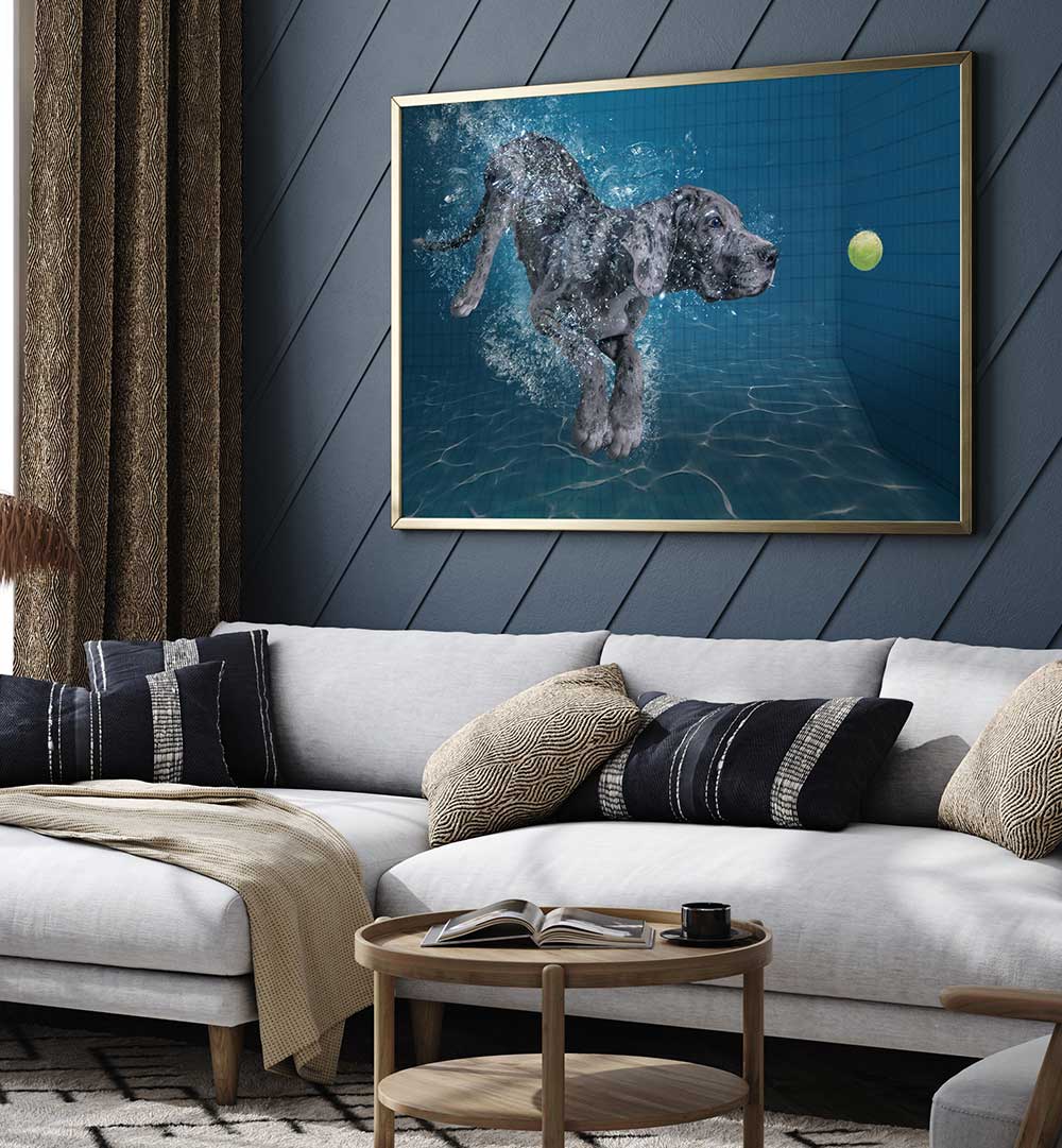 SPLASH DOG , PHOTOGRAPHY PRINTS