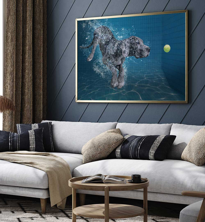 SPLASH DOG , PHOTOGRAPHY PRINTS