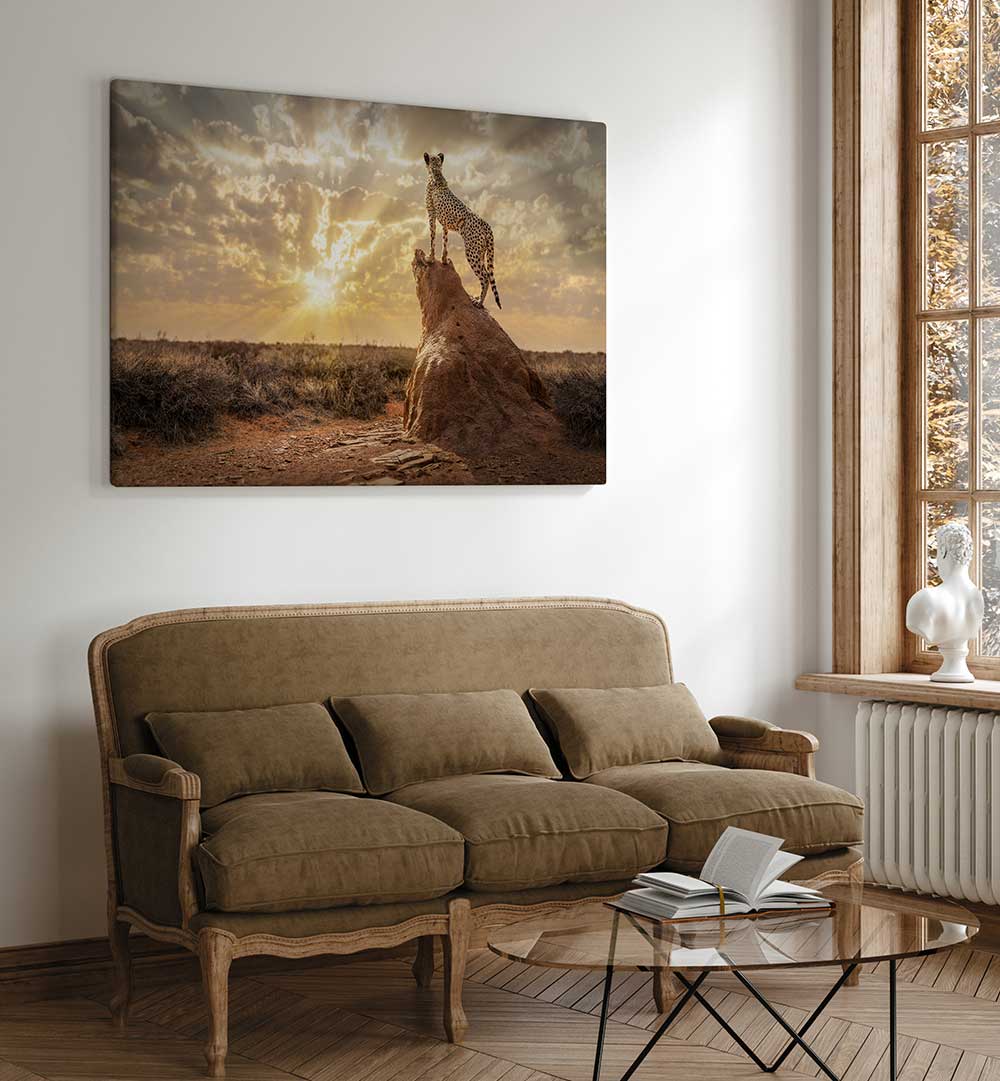 SUNDOWN CHEETAH , PHOTOGRAPHY PRINTS