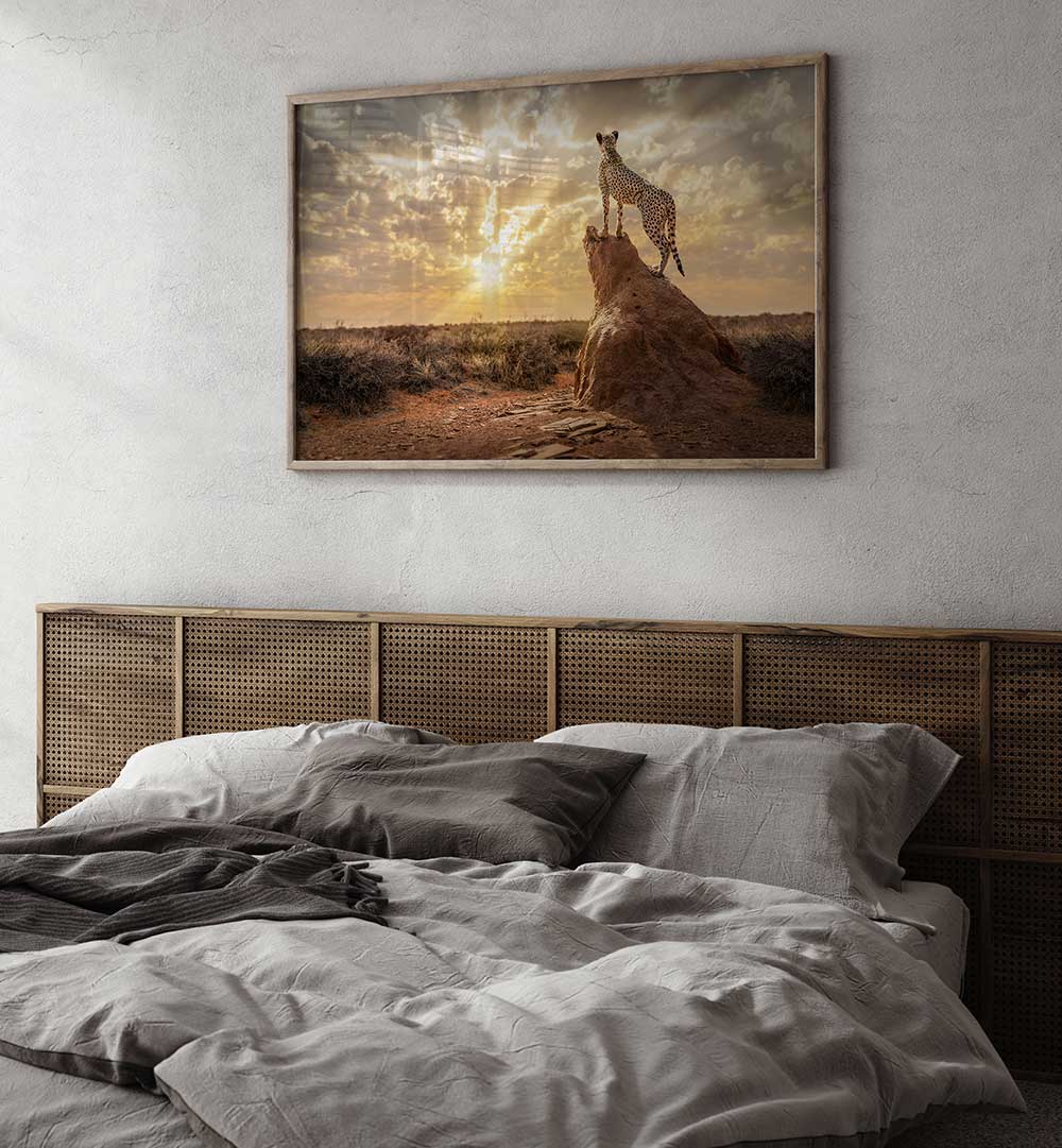 SUNDOWN CHEETAH , PHOTOGRAPHY PRINTS