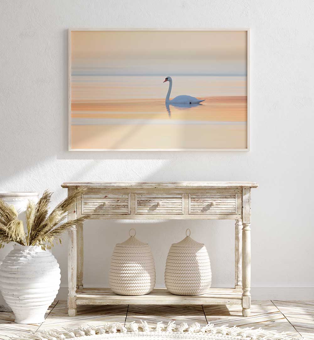 SWAN , PHOTOGRAPHY PRINTS
