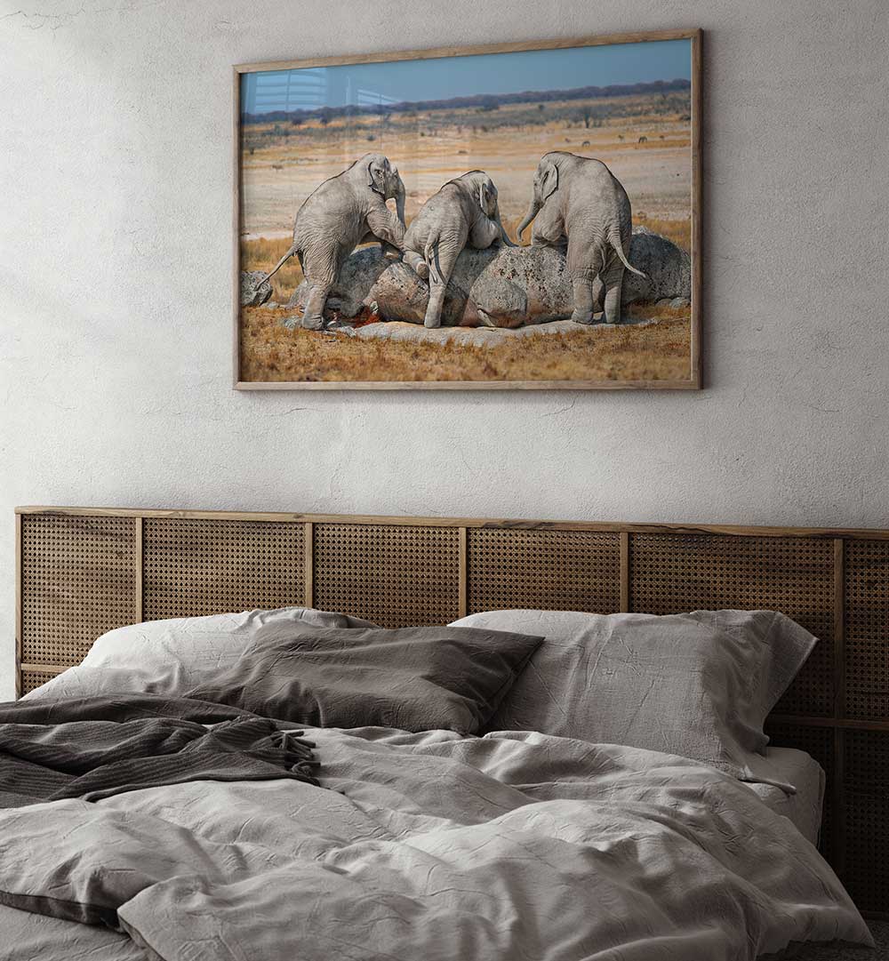 THREE GUYS , WILDLIFE PHOTOGRAPHY , FINE ART PHOTOGRAPHY