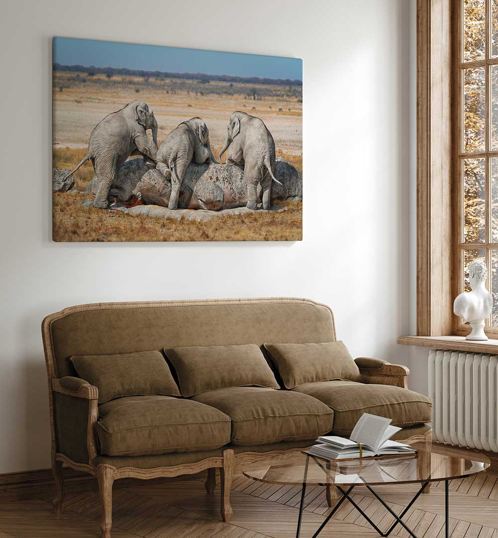 THREE GUYS , WILDLIFE PHOTOGRAPHY , FINE ART PHOTOGRAPHY