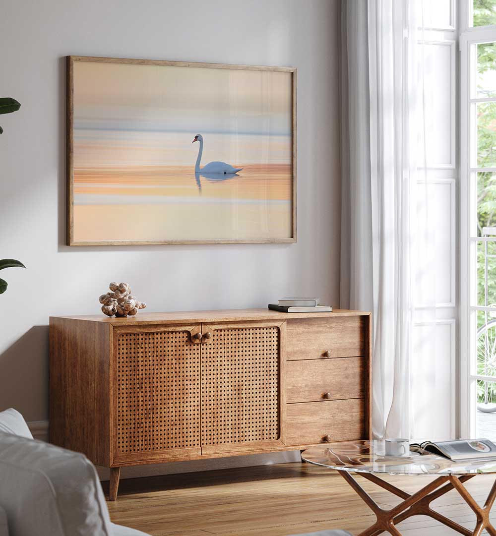 SWAN , PHOTOGRAPHY PRINTS