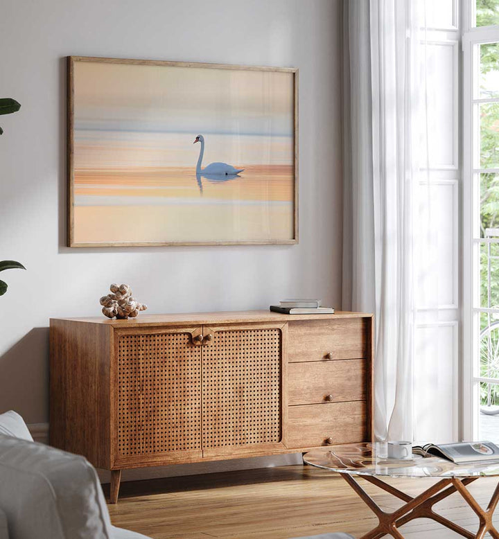 SWAN , PHOTOGRAPHY PRINTS