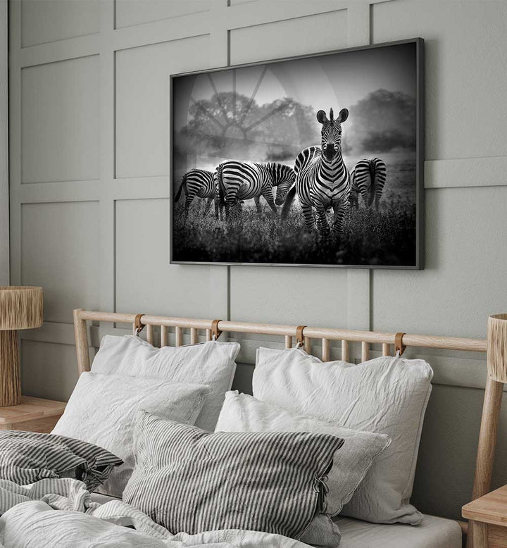 STALLION IN A PIN STRIPE SUIT  , PHOTOGRAPHY PRINTS