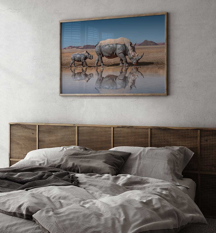 RHINOS WALK , PHOTOGRAPHY PRINTS
