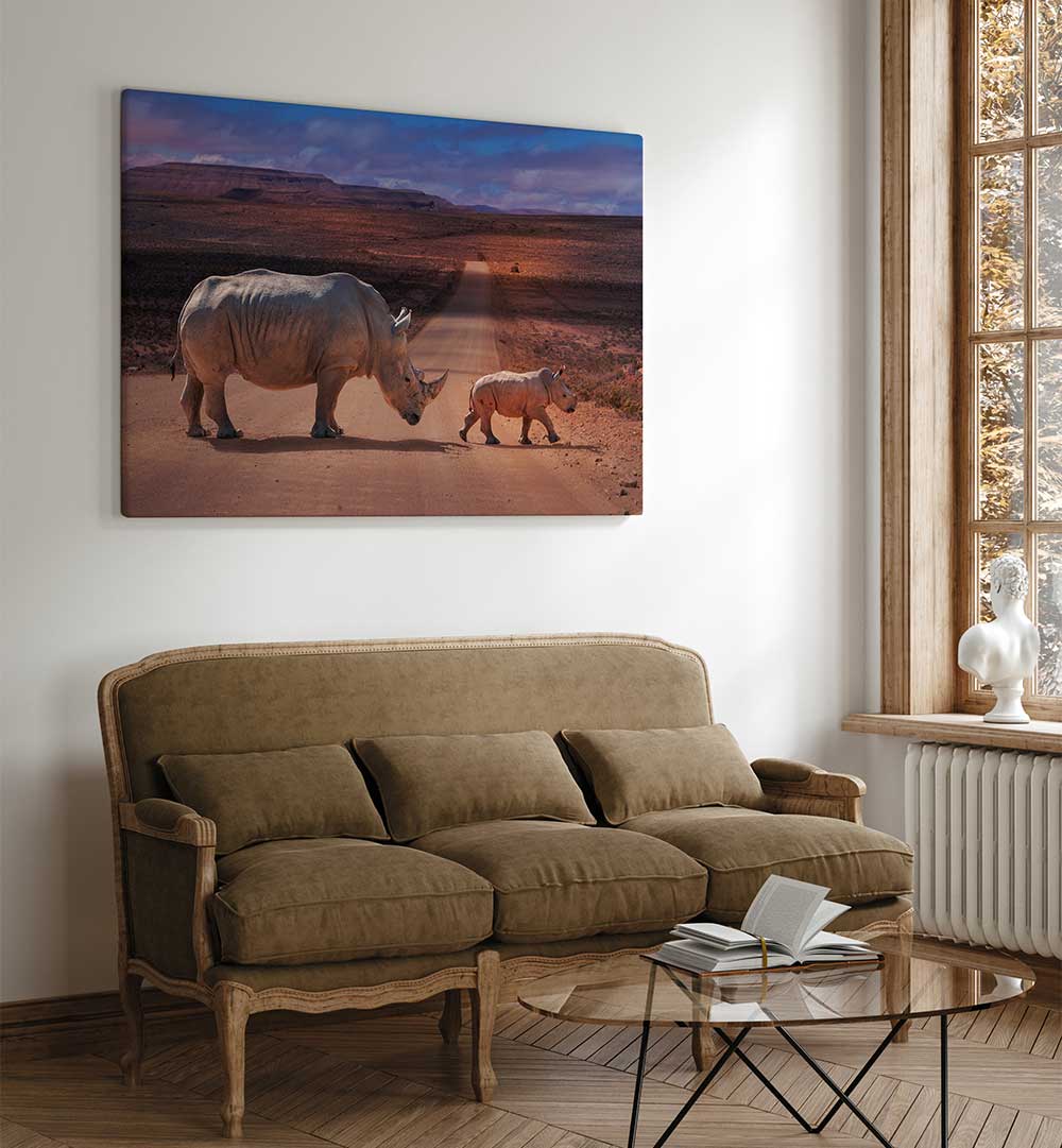 RHINOS CROSSING , PHOTOGRAPHY PRINTS