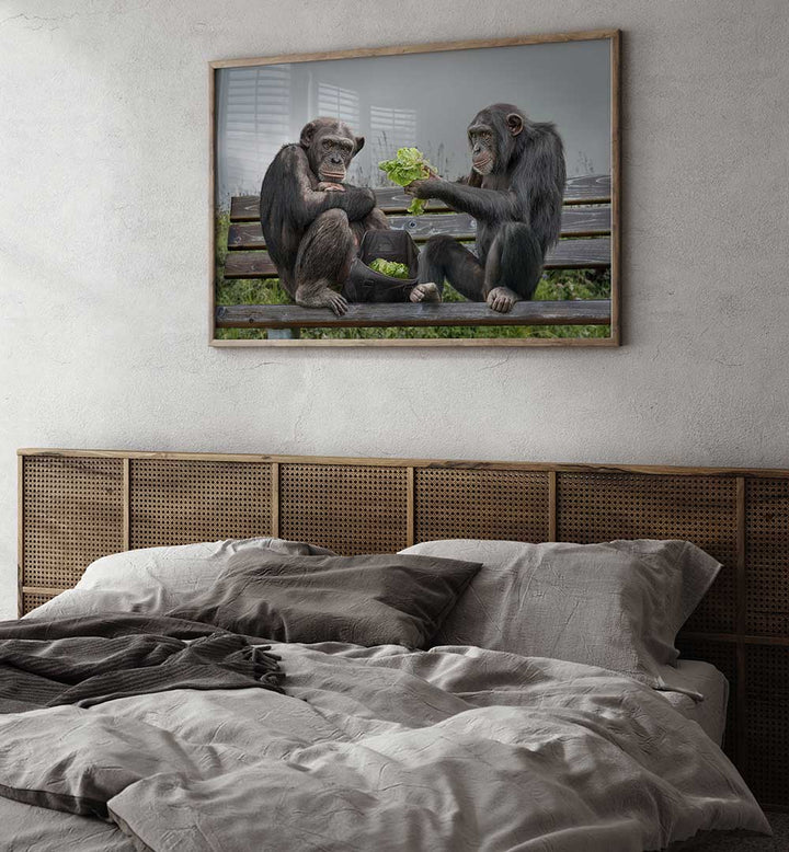 MONKEY SALAD  , PHOTOGRAPHY PRINTS