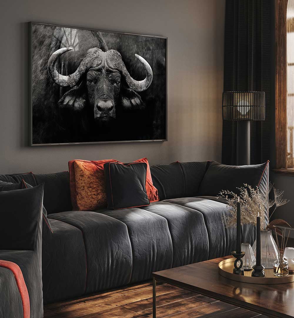 THE STARE  , PHOTOGRAPHY PRINTS