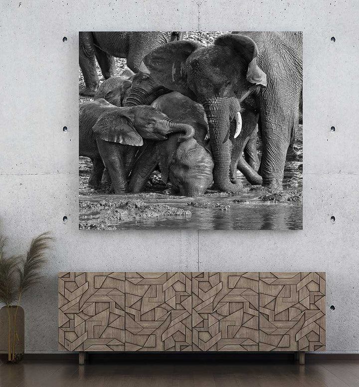 MUD BATH TIME , PHOTOGRAPHY PRINTS