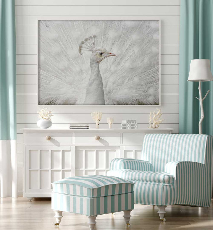 INMACULATE  , PHOTOGRAPHY PRINTS