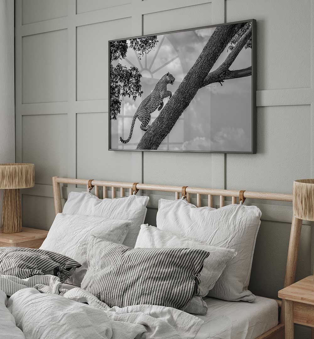 CLIMB UP , PHOTOGRAPHY PRINTS