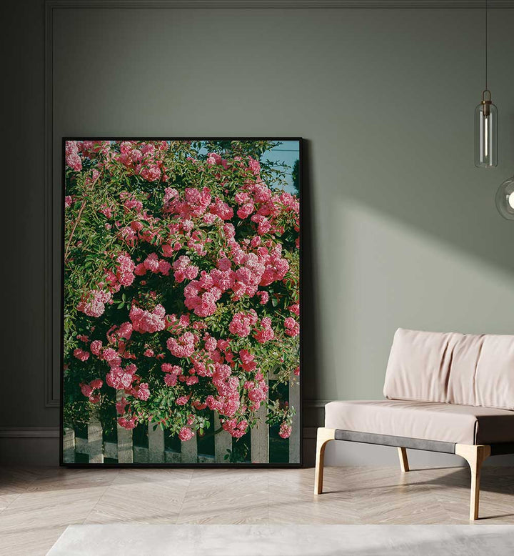 CANNON BEACH BLOOMS , PHOTOGRAPHY PRINTS