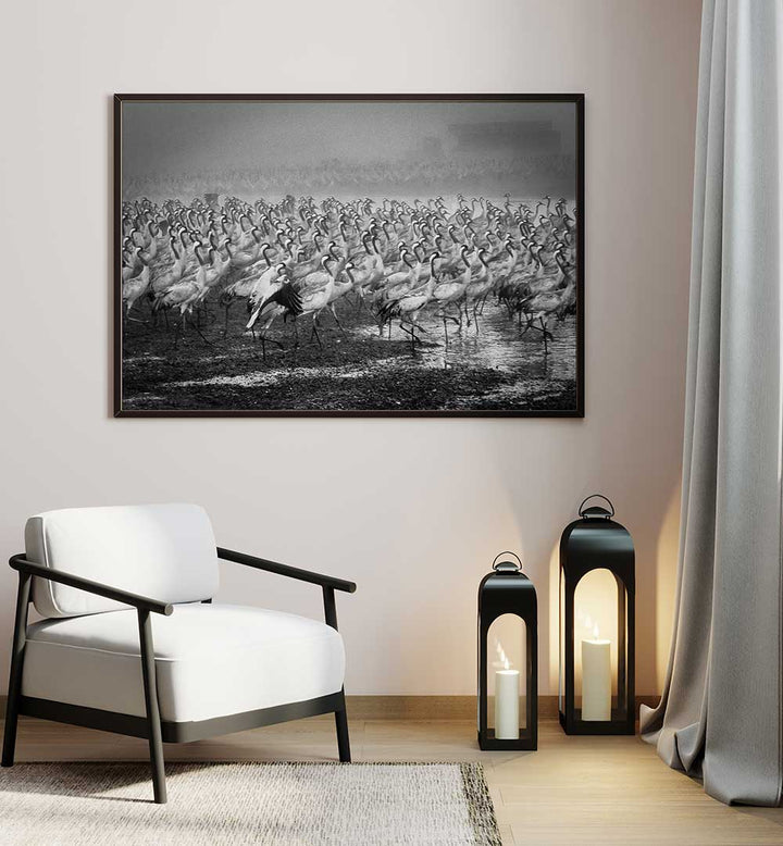 BIRD CITY, PHOTOGRAPHY PRINTS