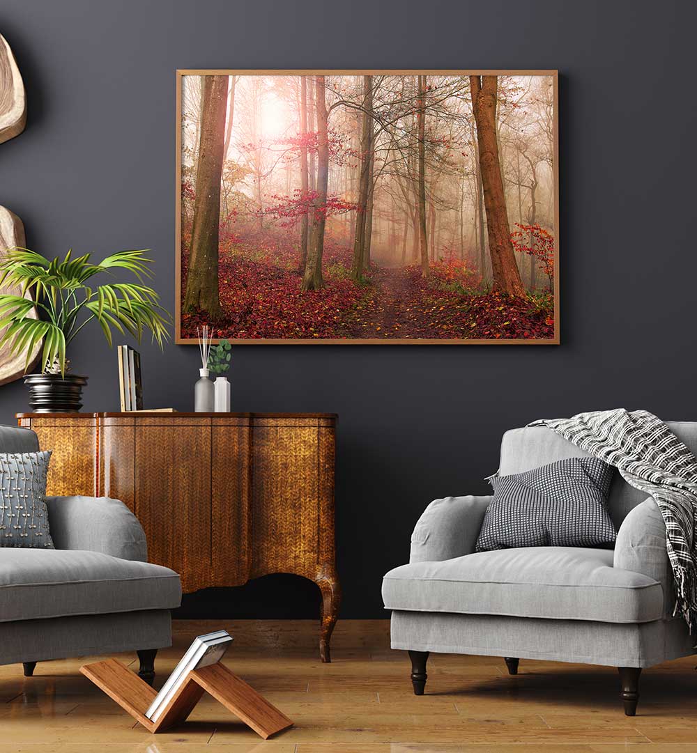 FOREST SCENE. , PHOTOGRAPHY PRINTS