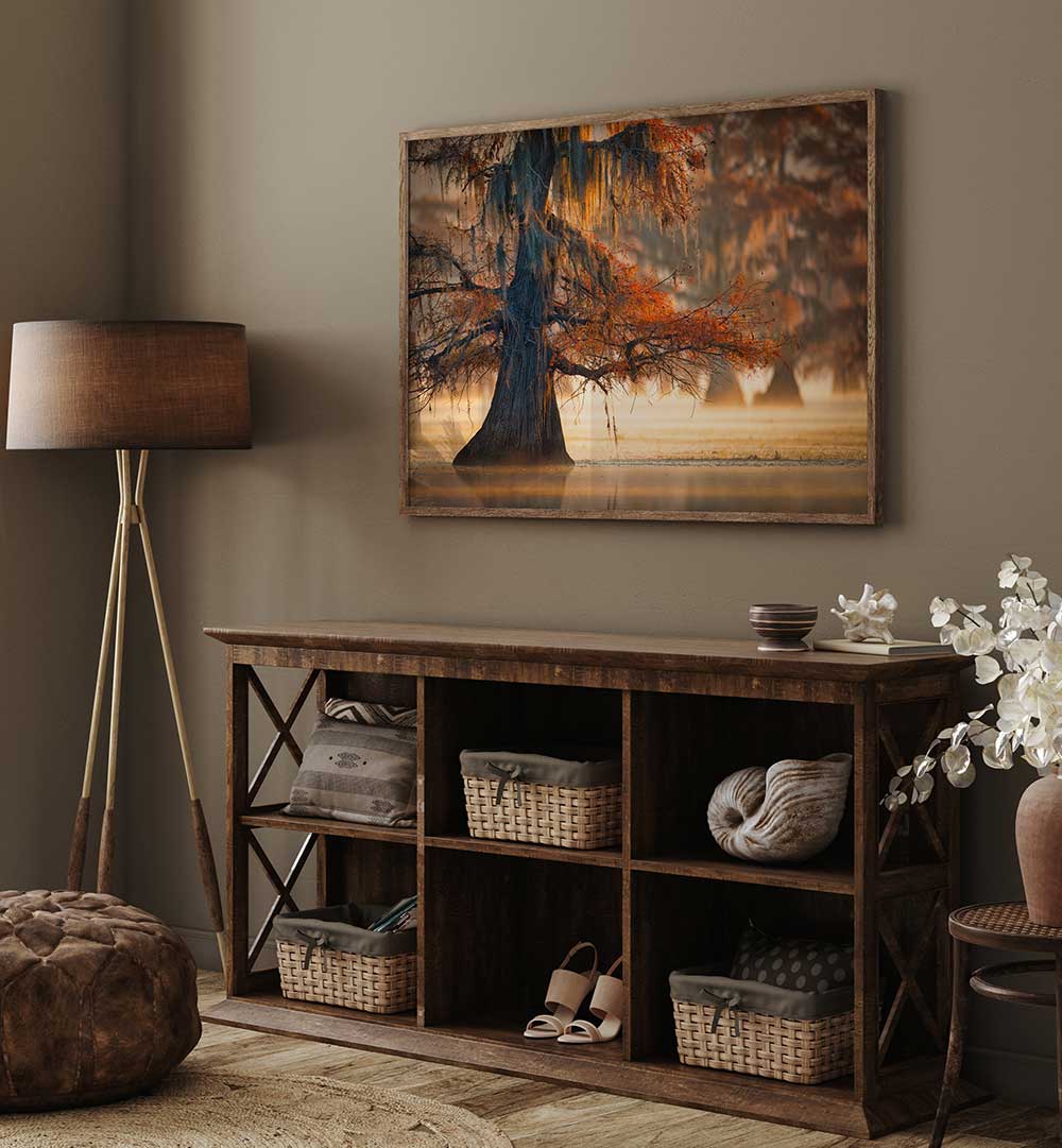 A CYPRESS IN FALL WATER , PHOTOGRAPHY PRINTS