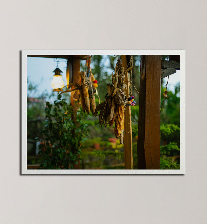 HIMACHAL V , PHOTOGRAPHY PRINTS