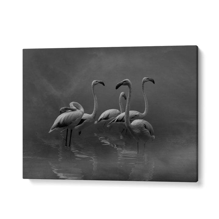 African painting - FLAMINGO PARADISE by Asianmonk