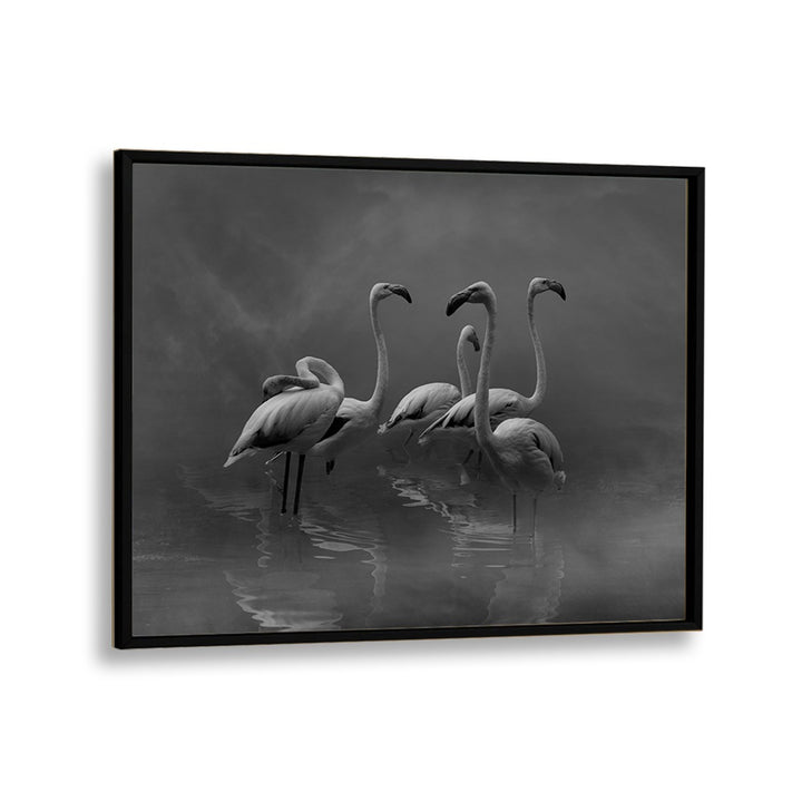 African painting - FLAMINGO PARADISE by Asianmonk