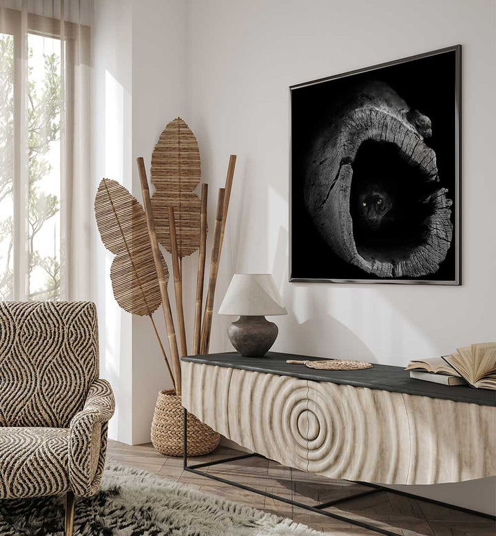 PANTHER , PHOTOGRAPHY PRINTS