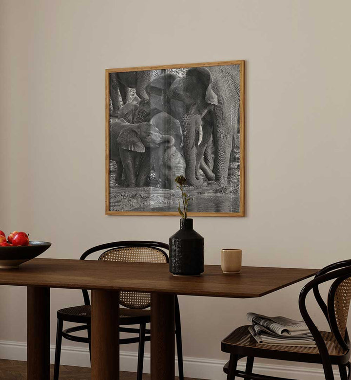 MUD BATH TIME , PHOTOGRAPHY PRINTS