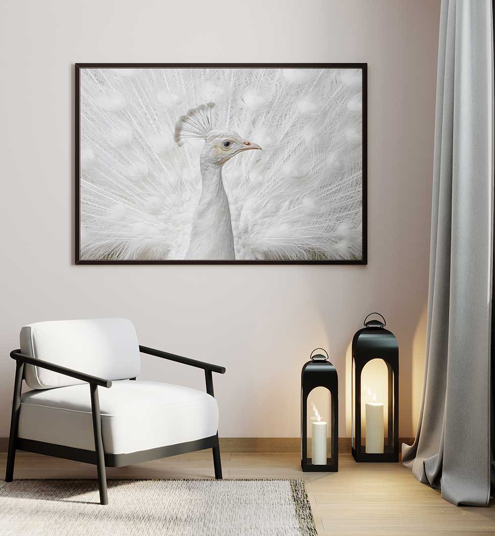 INMACULATE  , PHOTOGRAPHY PRINTS