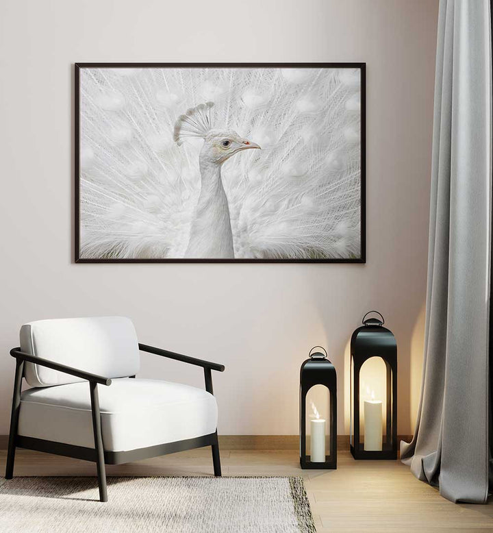 INMACULATE  , PHOTOGRAPHY PRINTS