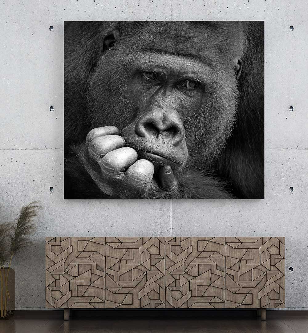 I HAD A DREAM , PHOTOGRAPHY PRINTS