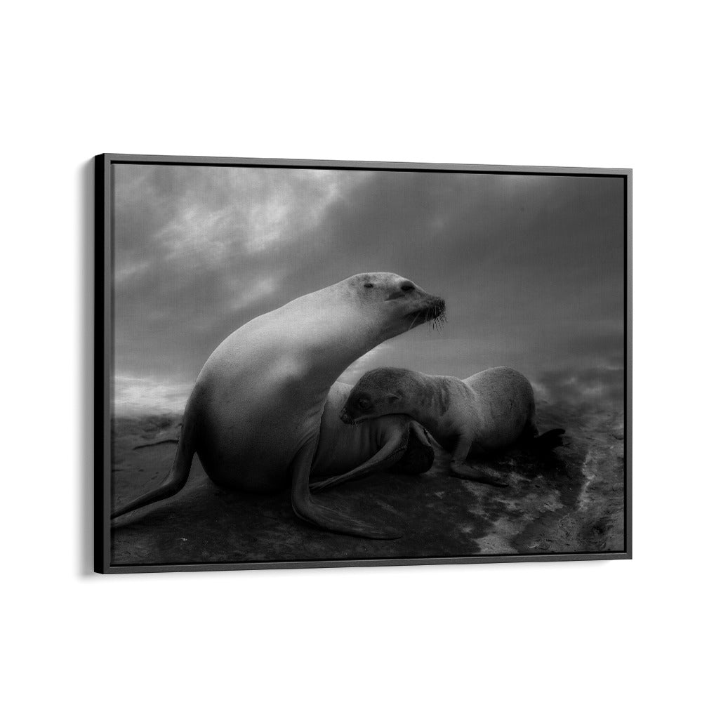 African painting - THE SEA LIONS TOUCHING MOMENTS by Asianmonk