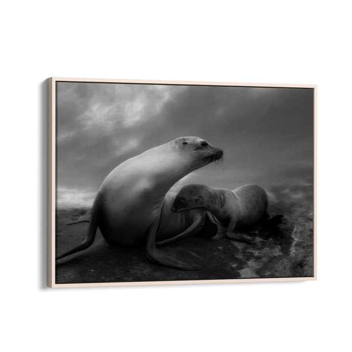 African painting - THE SEA LIONS TOUCHING MOMENTS by Asianmonk