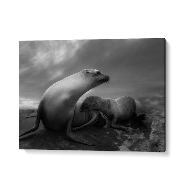 African painting - THE SEA LIONS TOUCHING MOMENTS by Asianmonk