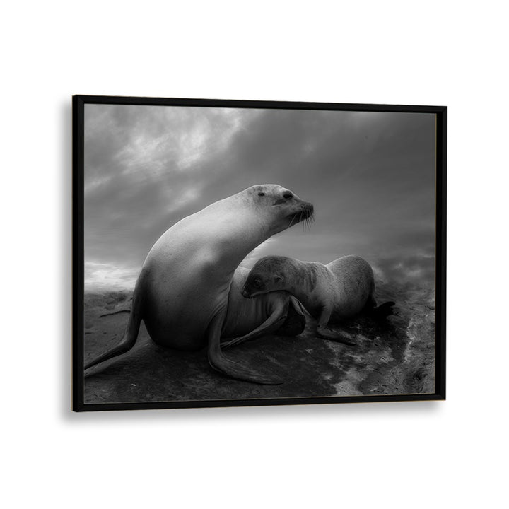 African painting - THE SEA LIONS TOUCHING MOMENTS by Asianmonk