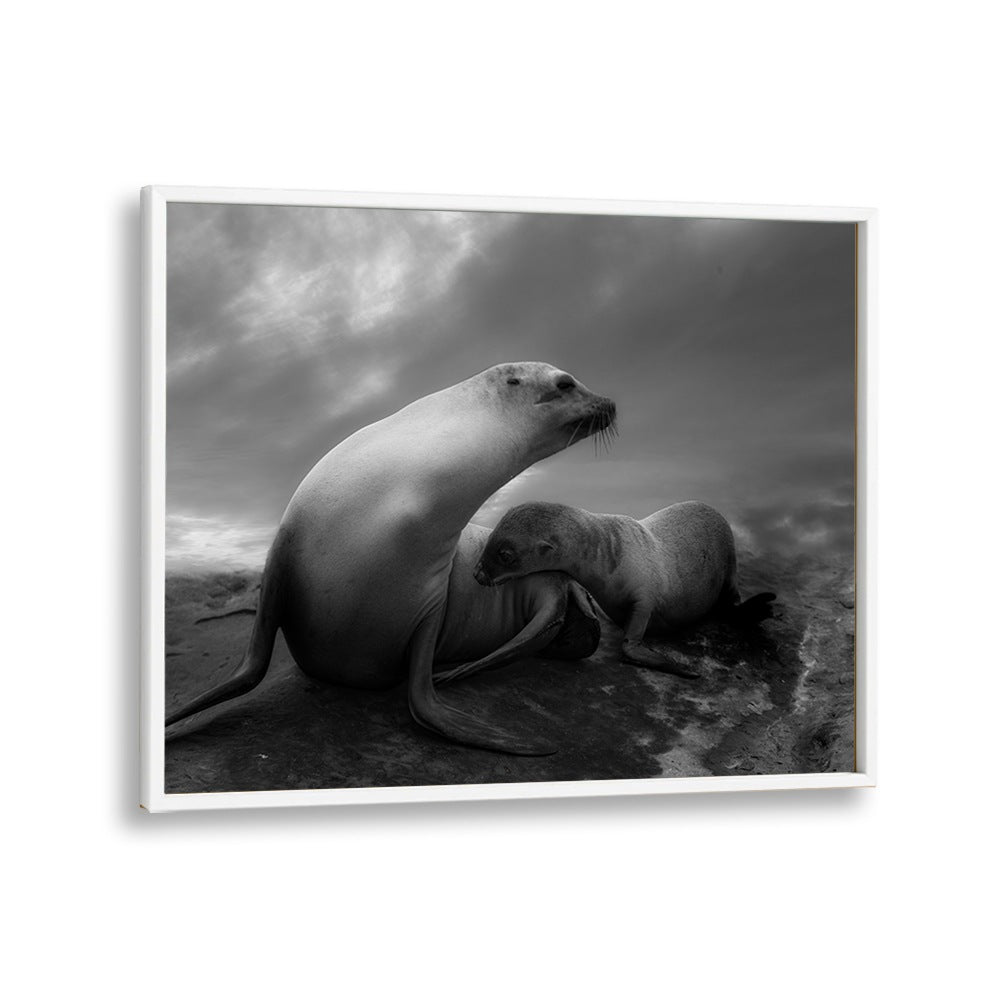 African painting - THE SEA LIONS TOUCHING MOMENTS by Asianmonk