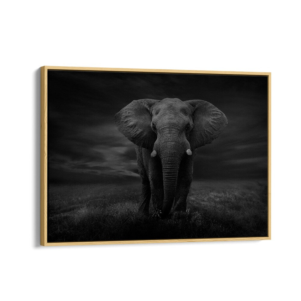 African painting - THE LONELY ELEPHANT by Asianmonk