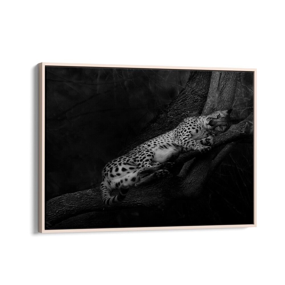 African painting - RESTING CHEETAH by Asianmonk