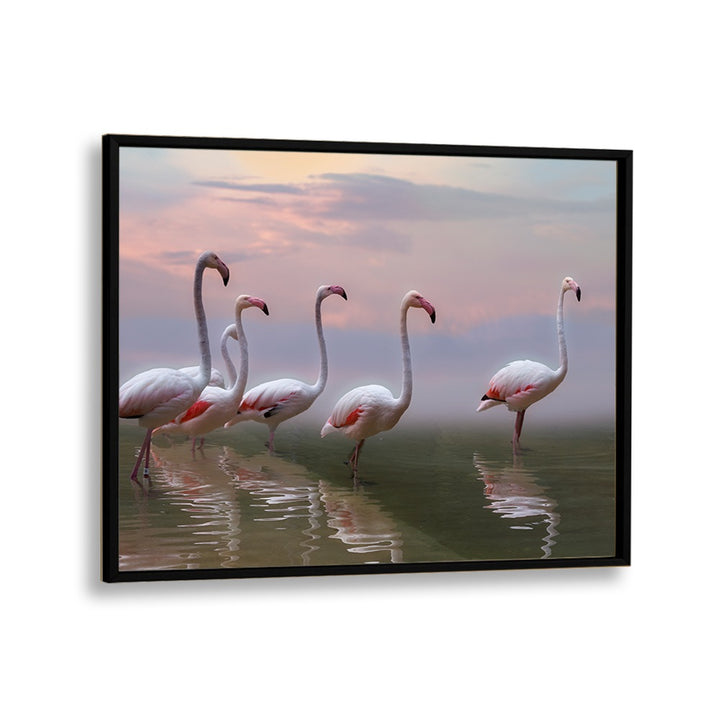 African painting - FLAMINGO SUNSET by Asianmonk