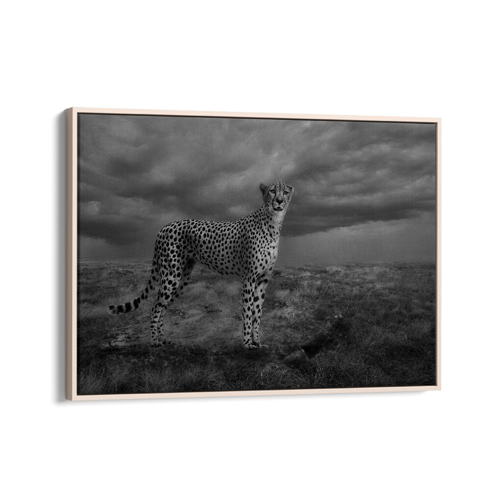 African painting - ALERT CHEETAH by Asianmonk