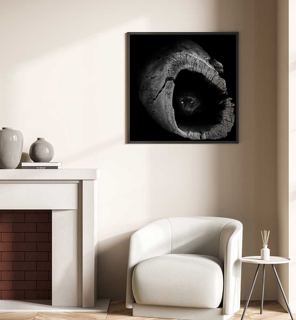 PANTHER , PHOTOGRAPHY PRINTS