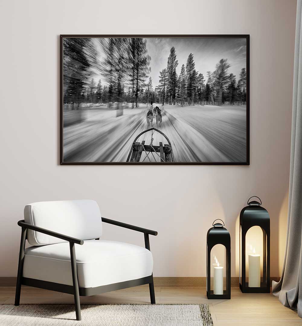 DOGSLEDDING , PHOTOGRAPHY PRINTS