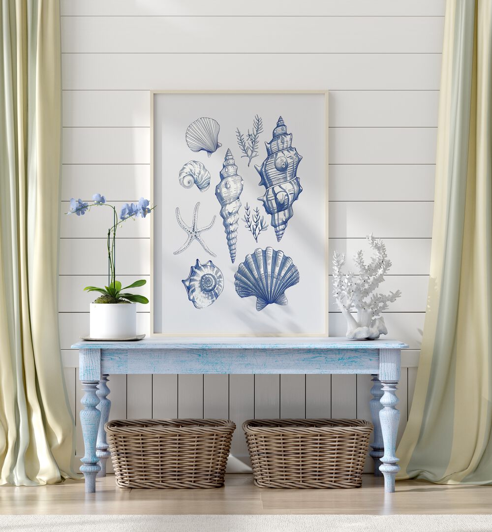 Elegant SHELL COLLAGE, BEACH PAINTINGS showcasing beautiful seashells, perfect for a coastal-themed living space.