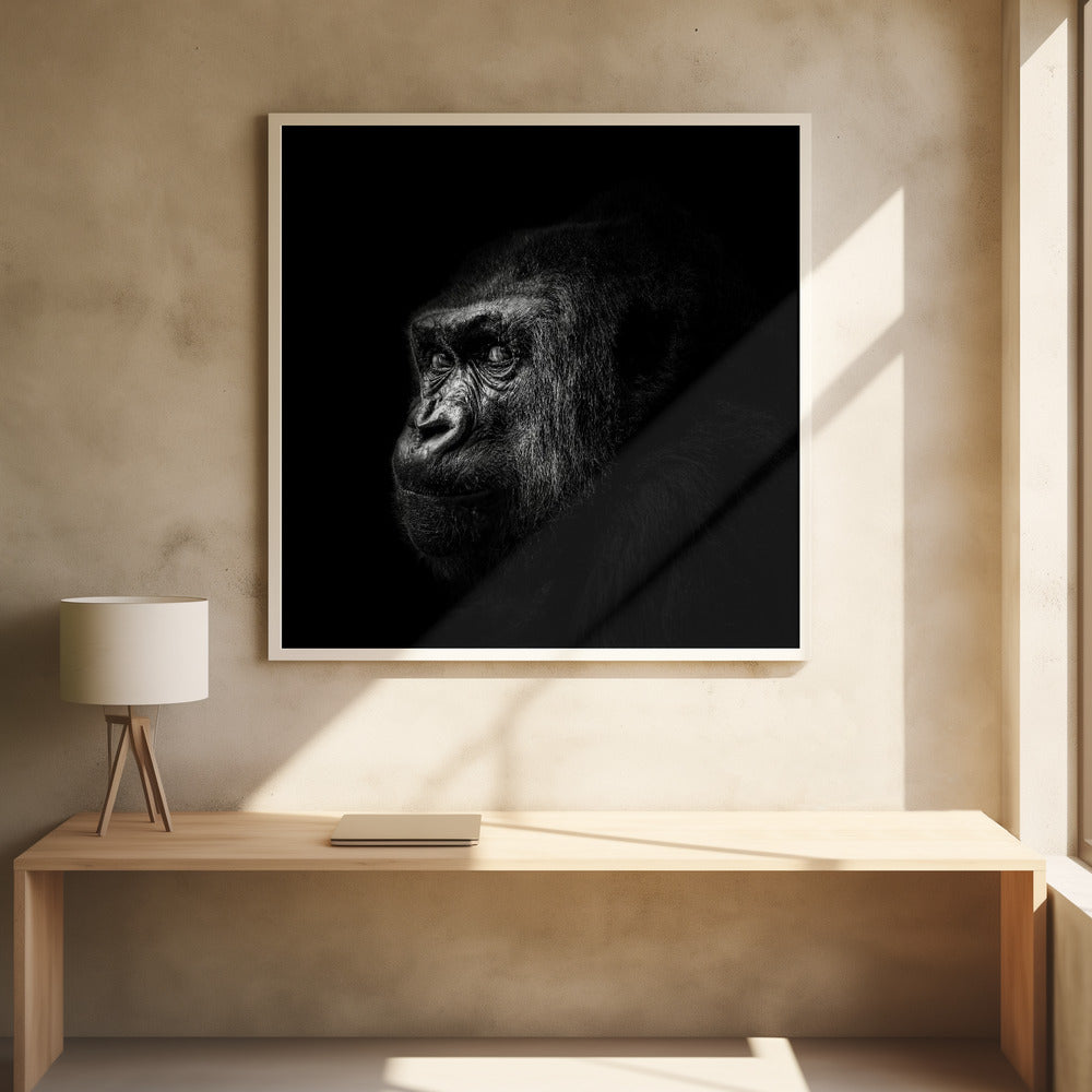 GORILLA III  , PHOTOGRAPHY PRINTS