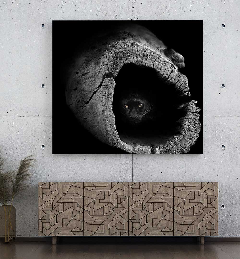 PANTHER , PHOTOGRAPHY PRINTS