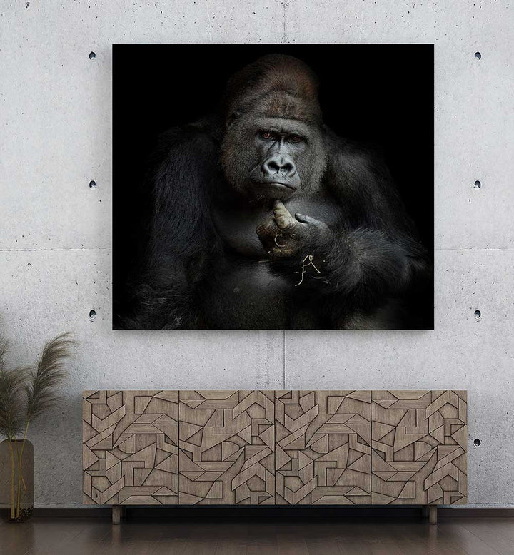 IMHO , PHOTOGRAPHY PRINTS