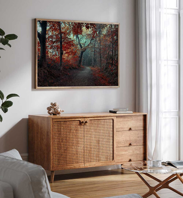 THE RED FOREST , PHOTOGRAPHY PRINTS