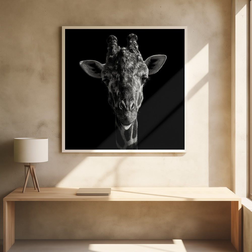 CHEEKY GIRAFFE  , PHOTOGRAPHY PRINTS