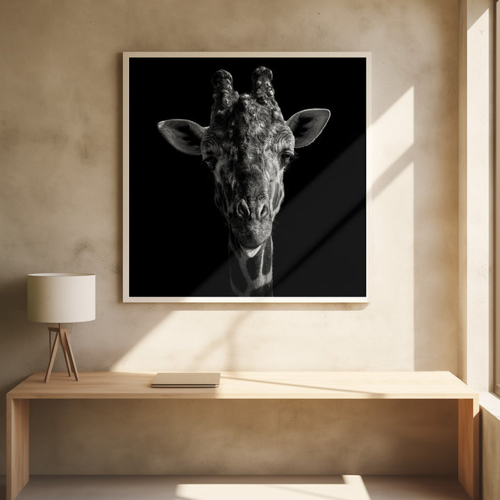 CHEEKY GIRAFFE  , PHOTOGRAPHY PRINTS