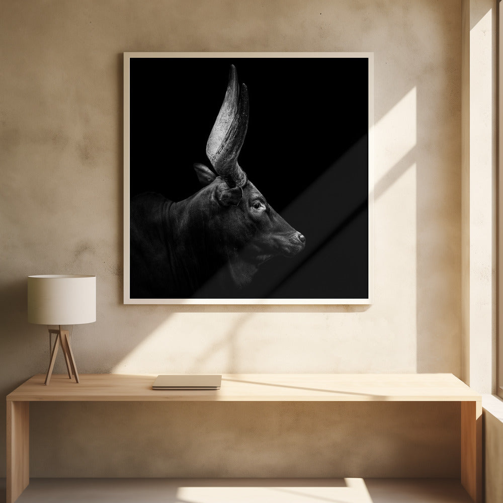 WATUSI II  , PHOTOGRAPHY PRINTS