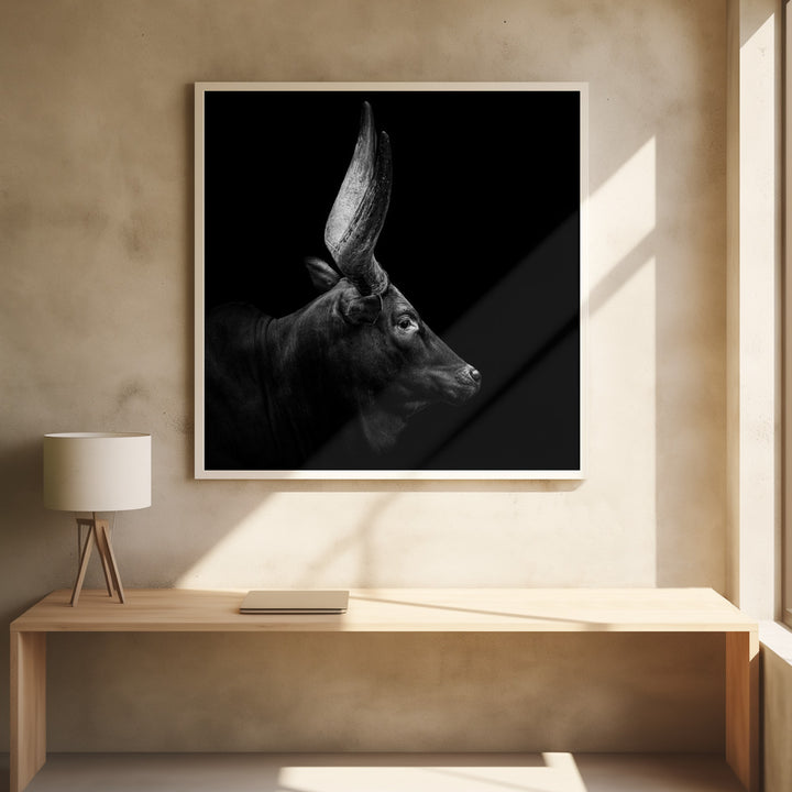 WATUSI II  , PHOTOGRAPHY PRINTS